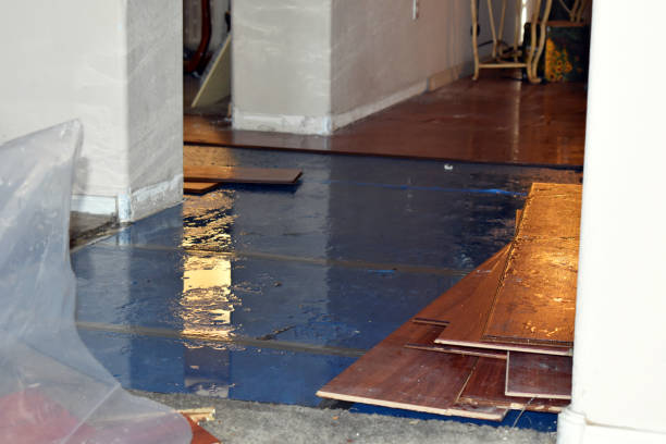 Professional Water Damage Repair technician working in Highlands, TX